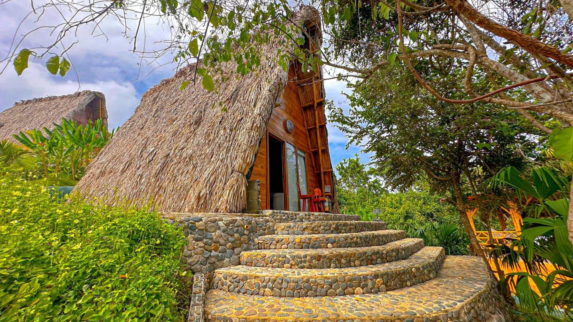 מלון אל סאינו Ecohabs Bamboo Parque Tayrona - Dentro Del Pnn Tayrona מראה חיצוני תמונה